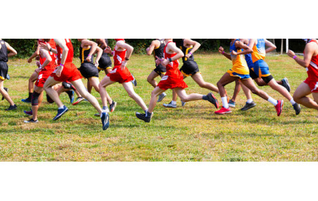 Championnats régionaux de cross Laval (53) 01/02/2026